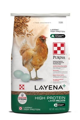 Purina Layena+ High Protein Layer Chicken Feed, 40 lb. Bag My chickens loved this new feed & the high protein helped them grow new feathers much faster during their molt this fall! 