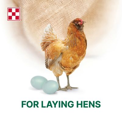Image showing  Layena Plus High Protein Layer Pelleted Chicken Feed