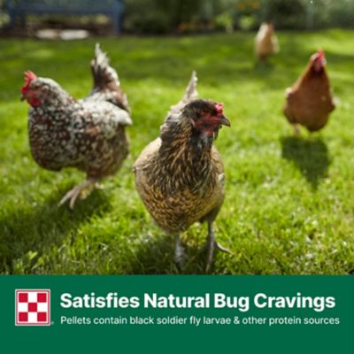 Image showing 5 th Purina Layena Plus High Protein Layer Pelleted Chicken Feed