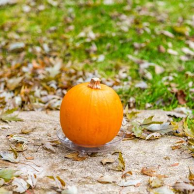 Image showing  Plastic Plant Saucer, 4 in., 1.5x Thicker