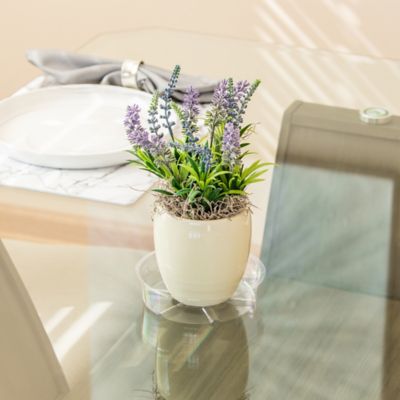 Image showing  6 in. Plastic Plant Saucer, 1.5x Thicker