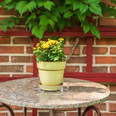 Image showing  6 in. Plastic Plant Saucer, 1.5x Thicker