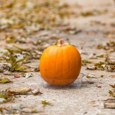Image showing 5 th Gardener's Blue Ribbon 6 in. Plastic Plant Saucer, 1.5x Thicker