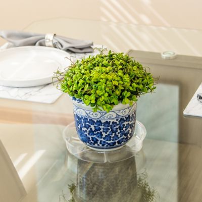 Image showing  8 in. Plastic Plant Saucer, 1.5x Thicker