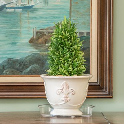 Image showing  8 in. Plastic Plant Saucer, 1.5x Thicker