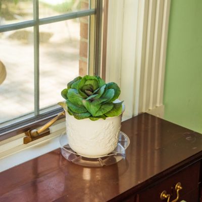 Image showing  8 in. Plastic Plant Saucer, 1.5x Thicker