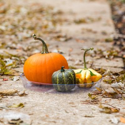 Image showing  10 in. Plastic Plant Saucer, 1.5x Thicker