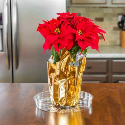 Gardener's Blue Ribbon 10 in. Plastic Plant Saucer, 1.5x Thicker at ...