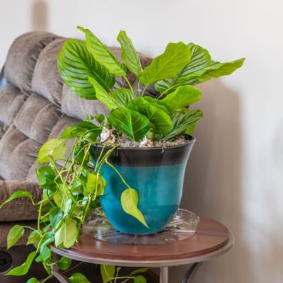 Image showing  14 in. Plastic Plant Saucer, 1.5x Thicker