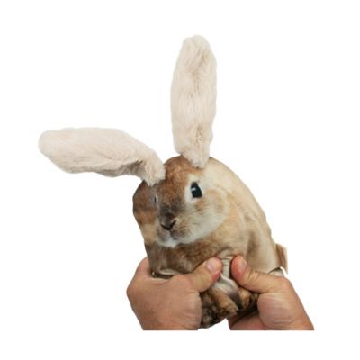 Territory Floppy Rabbit Plush Dog Toy
