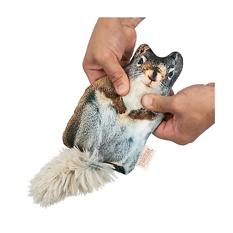 Territory Floppy Squirrel Dog Toy At