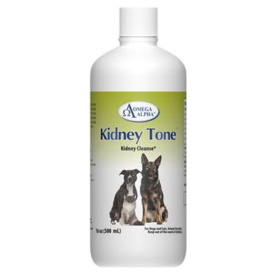 Omega Alpha Kidney Tone Kidney Cleanse for Dogs and Cats, 16 oz.