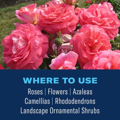 Image showing  Shrub Care Protect & Feed Granules, 801000A