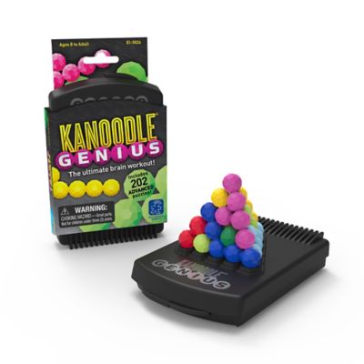 Educational Insights Kanoodle Genius Game