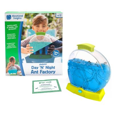Educational Insights GeoSafari Day 'N' Night Ant Factory