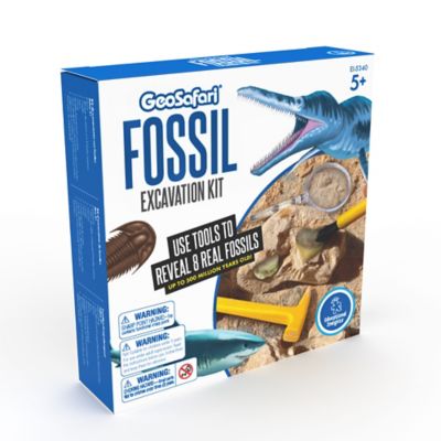 Fossil 5340 2025