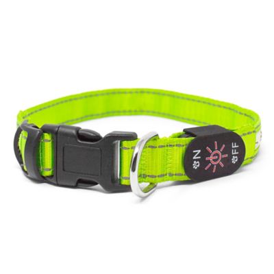 Rapid RB Pets LED Bright Collar