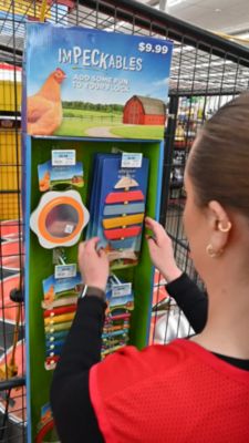 Image showing  Large Chicken Hut