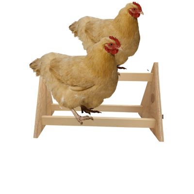 Image showing  Chicken Perch