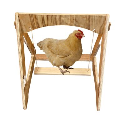 Harvest Lane Farm Chicken Swinging Perch, WWCKSWG-101