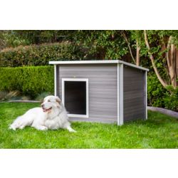 Dog Houses