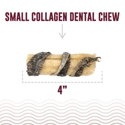 Image showing  Beef Collagen Dental Chew Stick Wrapped with Fish Dog Treat, 4 in.