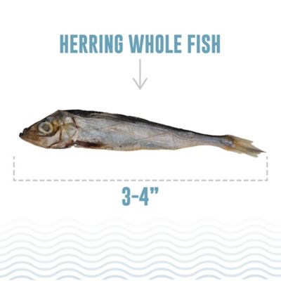 Image showing  Herring Whole Fish Dog Treats, 3 oz. Bag