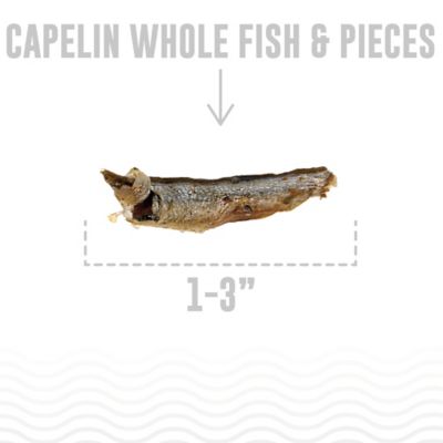 Image showing  Capelin Whole Fish & Pieces Cat Treat 1.5 oz. Bag