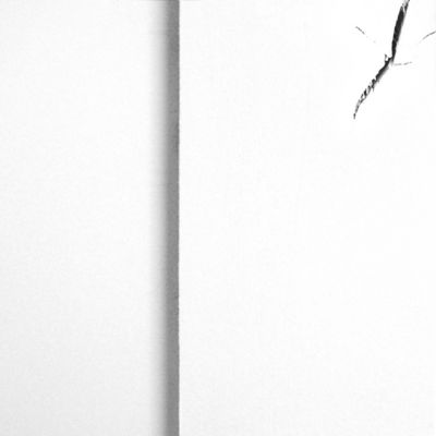 Image showing  42 in. x 84 in. White Herringbone Wood Finish Barn Door with Installation Hardware Kit