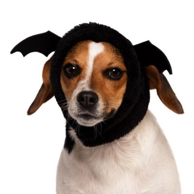 FurHaven Flex-Fit Pet Costume Hat