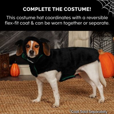 Image showing  Flex-Fit Pet Costume Hat