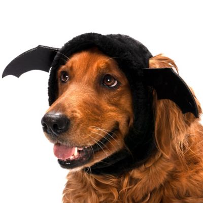 FurHaven Flex-Fit Pet Costume Hat