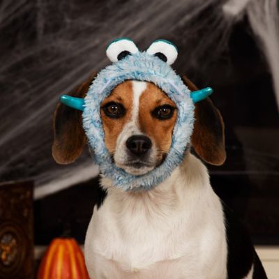 Image showing 8 th FurHaven Flex-Fit Pet Costume Hat