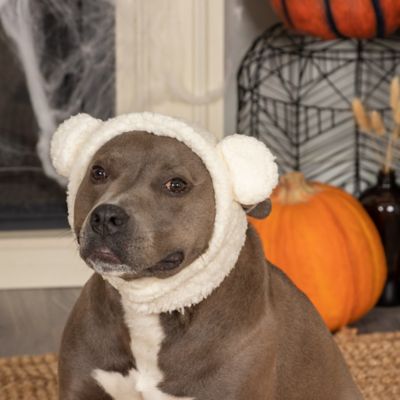 Image showing 7 th FurHaven Flex-Fit Pet Costume Hat