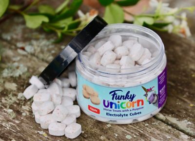 Image showing  Electrolyte Cubes, Apple