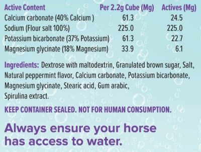 Image showing  Electrolyte Cubes, Mint