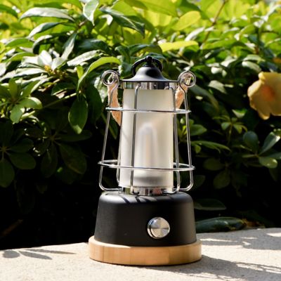 Image showing 6 th Tru De-Light You and Me Rechargeable LED Lamp, Dimmable, Color Temperature and Brightness Adjustable