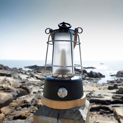 Image showing 8 th Tru De-Light You and Me Rechargeable LED Lamp, Dimmable, Color Temperature and Brightness Adjustable