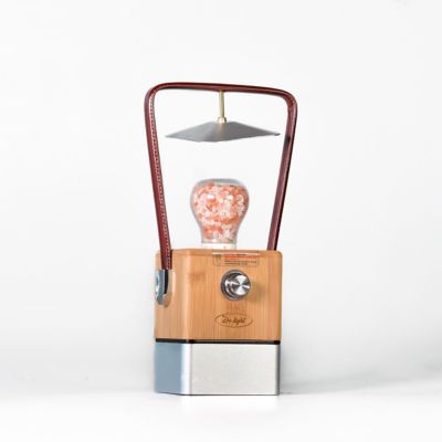 Image showing  Vienna Dimmable Salt LED Lamp - Lamp / Power Bank / Decoration All-in-One