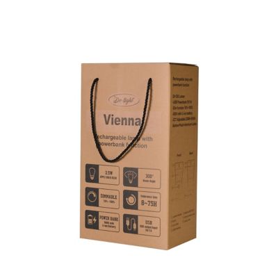 Image showing  Vienna Dimmable Salt LED Lamp - Lamp / Power Bank / Decoration All-in-One