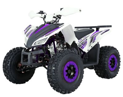 Coleman Power Sports Youth 125cc ATV, AT125-EXP