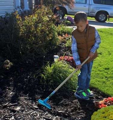 Image showing  Metal Bow Rake for Kids Garden Tool, 1245M-1