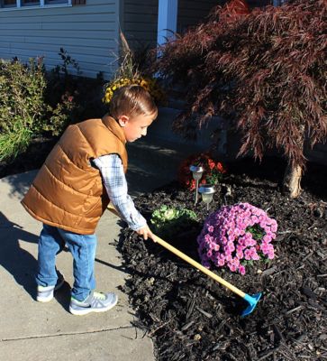 Image showing  28.5 in. Wood Handle Kids' Garden Hoe