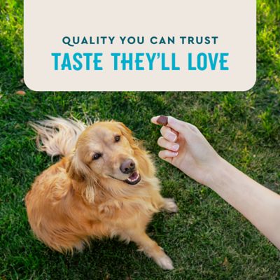 Image showing  Hip and Joint Soft Chews for Dogs, Chicken Flavor, 60 ct.