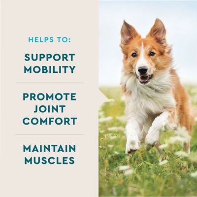 Image showing 5 th VetIQ Hip and Joint Soft Chews for Dogs, Chicken Flavor, 60 ct.