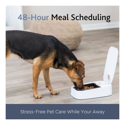 Image showing  TX 1 Automatic Food Dispenser, Single Serving, 48-Hour Timer, Battery Operated