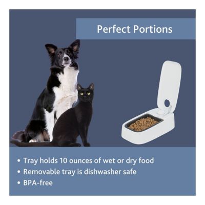 Image showing  TX 1 Automatic Food Dispenser, Single Serving, 48-Hour Timer, Battery Operated