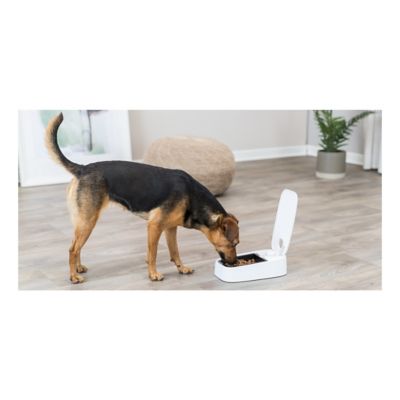 Image showing 5 th TRIXIE TX 1 Automatic Food Dispenser, Single Serving, 48-Hour Timer, Battery Operated