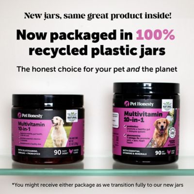 Image showing  Multivitamin 10-in-1 Chewable Supplements for Dogs, Chicken Flavor, 90 ct.