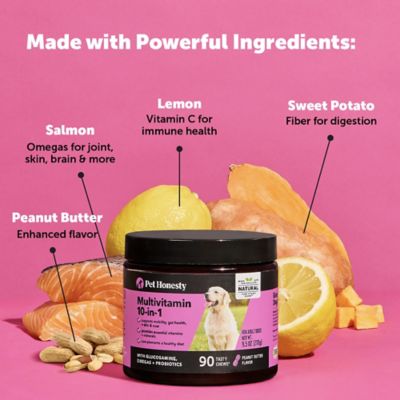 Image showing  Multivitamin 10-in-1 Chewable Supplements for Dogs, Chicken Flavor, 90 ct.